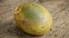 Može li se jesti krumpir sa zelenim mrljama? Rješavamo to jednom zauvijek.