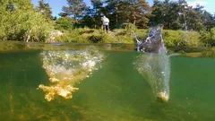 Pravilno miješanje mamca: 5-minutna provjera da napokon ponovno dobijete ugrize