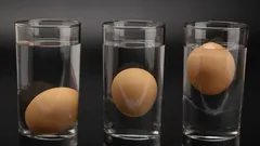 Test jajeta u vodi: jednostavan trik koji otkriva svježinu za 10 sekundi