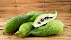 Jestiivi zeleni zid: praktični vodič za ačokču za vrtove i terase