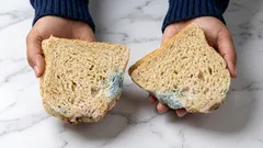 Može li se proizvod jesti ako samo odsiječete pljesnivi dio?