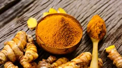 Neobičan začin s učinkom na zglobove: što znanost kaže o kurkumi