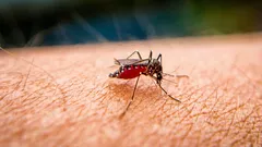 Zašto ubodi komaraca toliko svrbe i kako brzo ublažiti svrbež