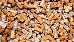 Korkarski trik za vaš dom: kako zaštititi zidove, parket i živce za 10 minuta